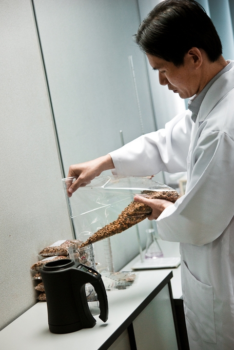 Pouring coffee beans for test